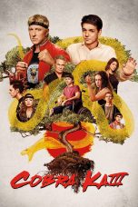 Cobra Kai Season 3 (2021) Cobra Kai Season 3 (2021)